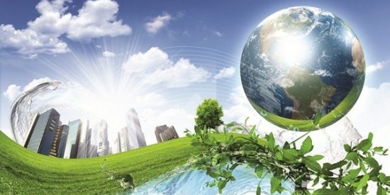 Reduce your environmental impact